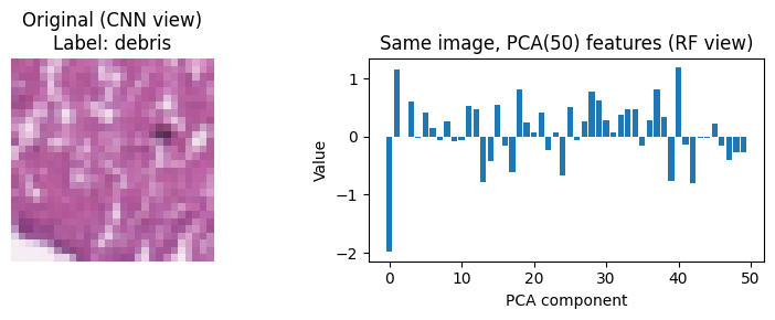 Example of image and preprocessing views